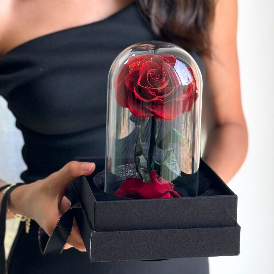 "Forever Love" Red Preserved Rose (H 22cm x W 15cm)